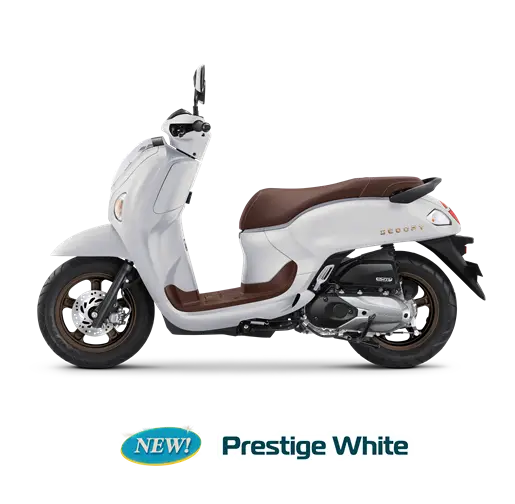 Honda Scoopy White